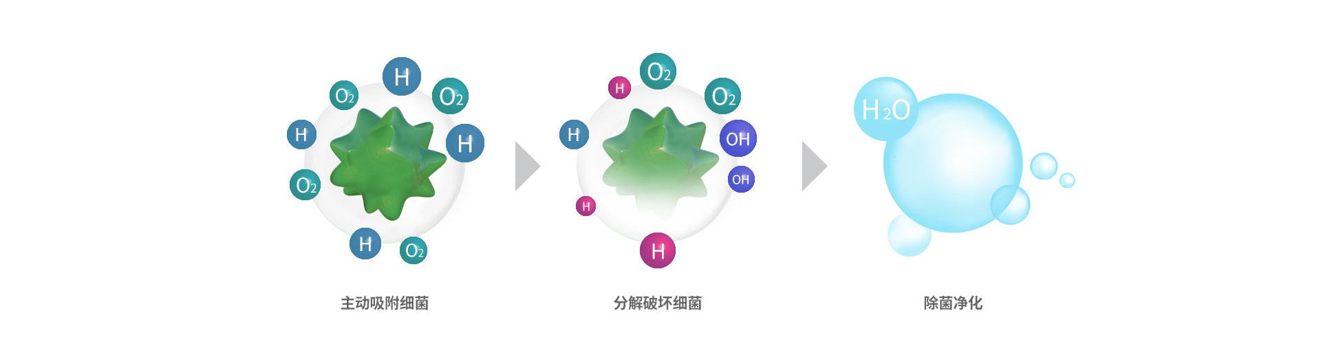殺菌原理