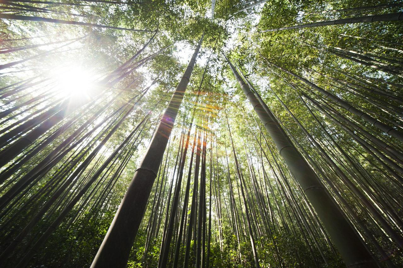 空氣凈化器到底凈化了哪些污染物？這四種，你得知道！