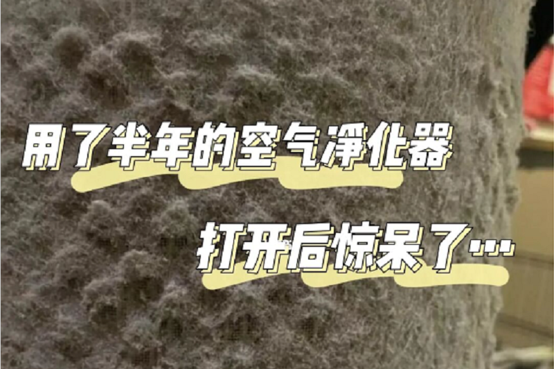 看到用了半年的空氣凈化器濾網(wǎng)，震驚到了！