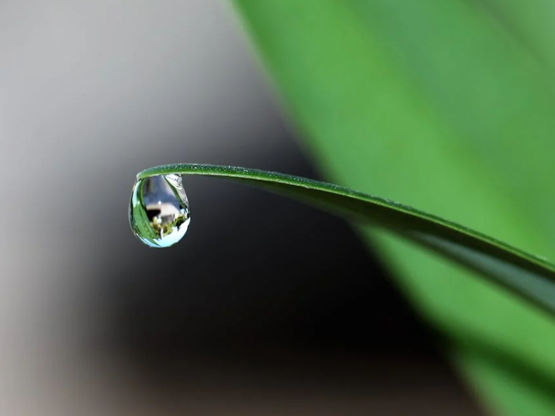【解惑】空氣凈化加濕器在夏天有哪些用處？