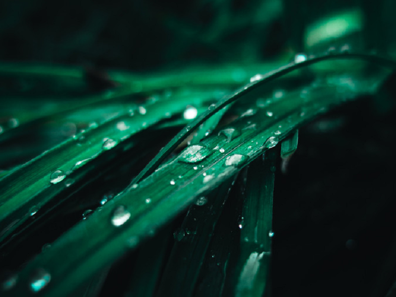 空氣凈化加濕器廠家