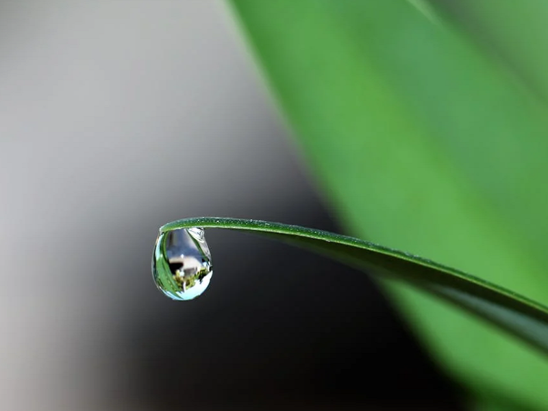 買一臺(tái)空氣凈化加濕器就好，還是分別購(gòu)買？